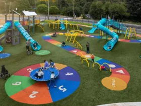 Playground Equipment