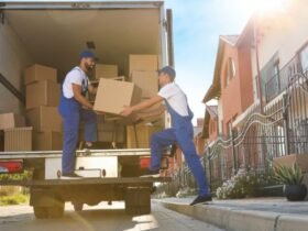 Professional Movers