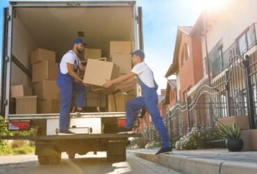 Professional Movers