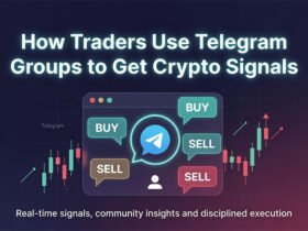 How Traders Use Telegram Groups to Get Crypto Signals