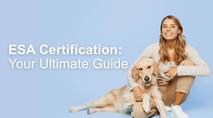 Your Guide to Emotional Support Animal Registration Online 