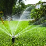 Home Maintenance