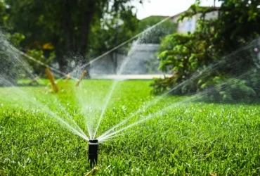 Home Maintenance