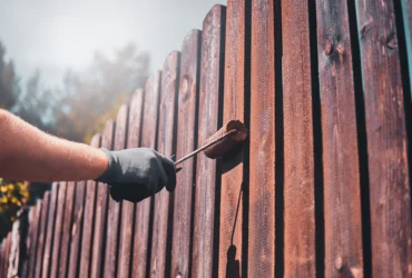 Fence Painting
