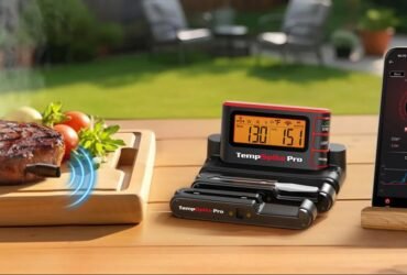 How Wi-Fi Meat Thermometer Makes Backyard BBQ Stress-Free