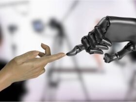 Choosing Between AI Video, a Real Shoot, and Stock Footage