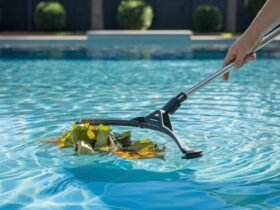 Complete Guide to Maintaining Crystal Clear Water with Professional Pool Care Solutions