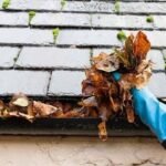 Gutter Cleaning Service Guide for Safe Drainage, Blockage Prevention, and Long-Term Home Protection