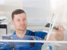 How Professional Window Care Can Transform Your Space