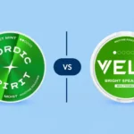 Nordic Spirit vs VELO