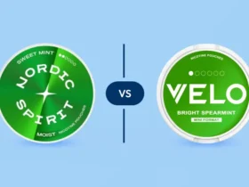 Nordic Spirit vs VELO