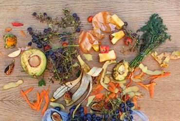 Transforming Organic Waste Into Nutrient-Rich Soil for a Greener Future
