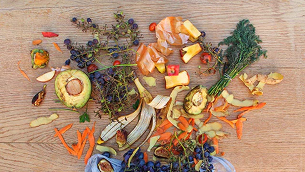 Transforming Organic Waste Into Nutrient-Rich Soil for a Greener Future