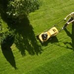Lawn Care Excellence Through Proper Cutting, Maintenance, and Seasonal Management Practices