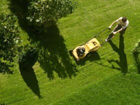 Lawn Care Excellence Through Proper Cutting, Maintenance, and Seasonal Management Practices