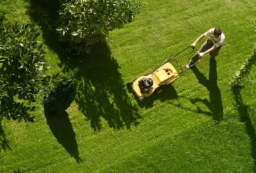 Lawn Care Excellence Through Proper Cutting, Maintenance, and Seasonal Management Practices