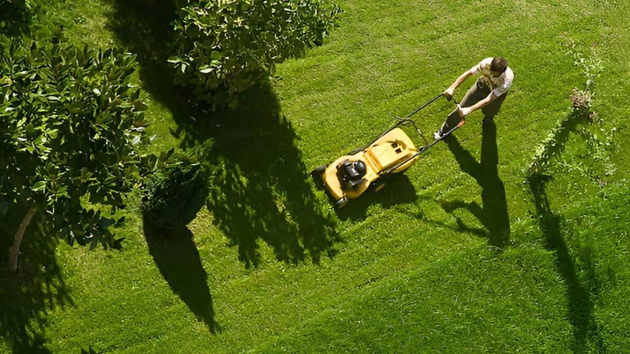 Lawn Care Excellence Through Proper Cutting, Maintenance, and Seasonal Management Practices