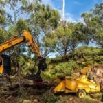 Effective Methods and Modern Approaches for Managing Overgrown Vegetation and Site Preparation