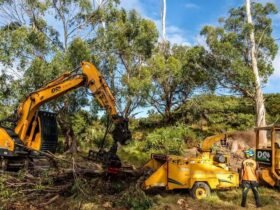Effective Methods and Modern Approaches for Managing Overgrown Vegetation and Site Preparation