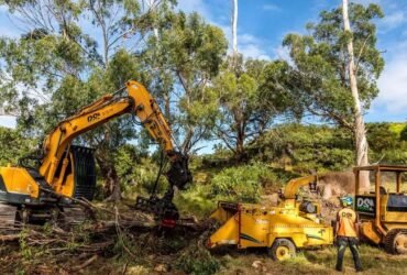 Effective Methods and Modern Approaches for Managing Overgrown Vegetation and Site Preparation