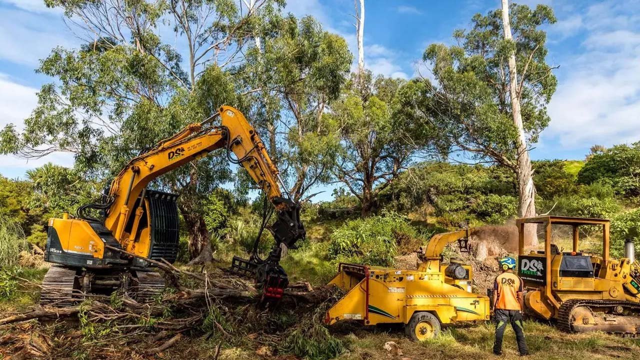 Effective Methods and Modern Approaches for Managing Overgrown Vegetation and Site Preparation