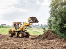 Modern Land Clearing Methods and the Rise of Sustainable Vegetation Management