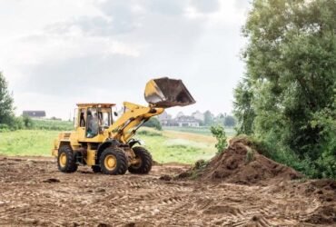 Modern Land Clearing Methods and the Rise of Sustainable Vegetation Management
