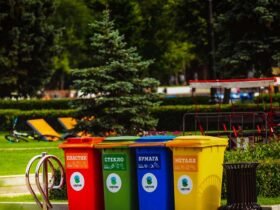 The Importance of Efficient Waste Management and Clean Environment Practices in Modern Spaces