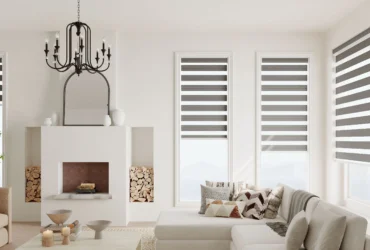 Day and Night Blinds